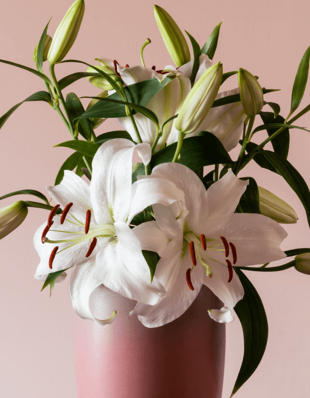 All White Bridal Bouquet