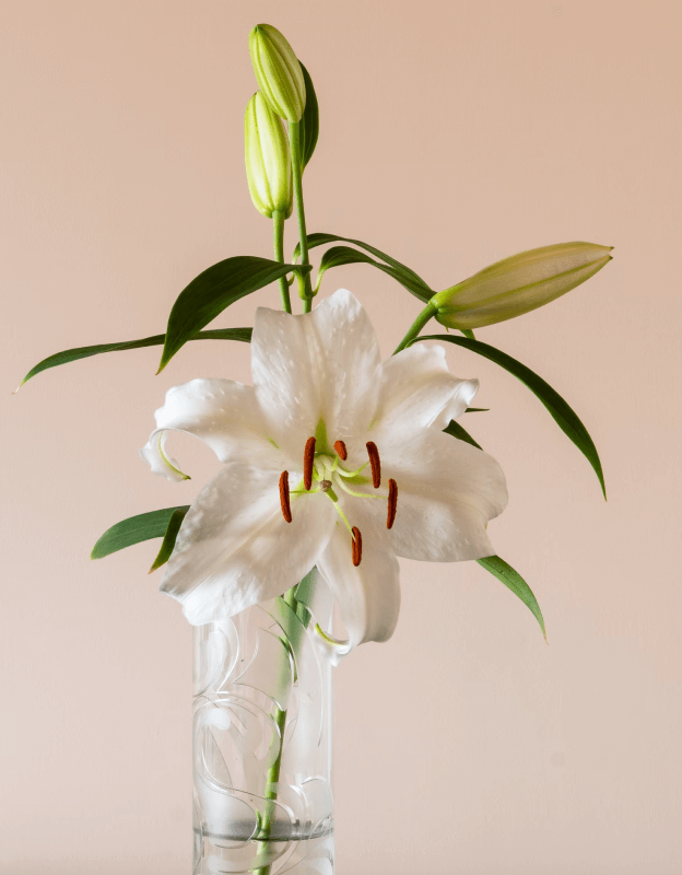 All White Bridal Bouquet