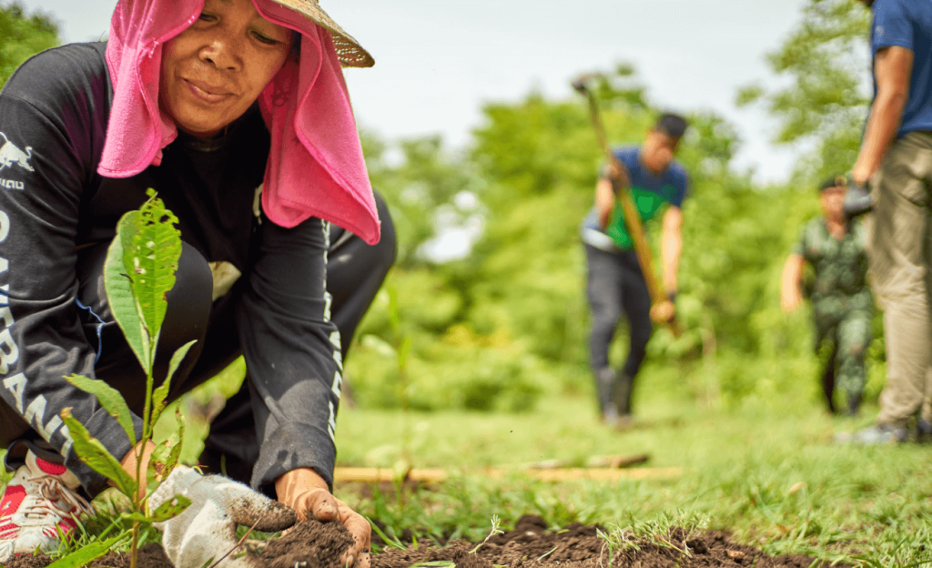 Gardening: Where Art Meets Soil Where Gardens Come to Life